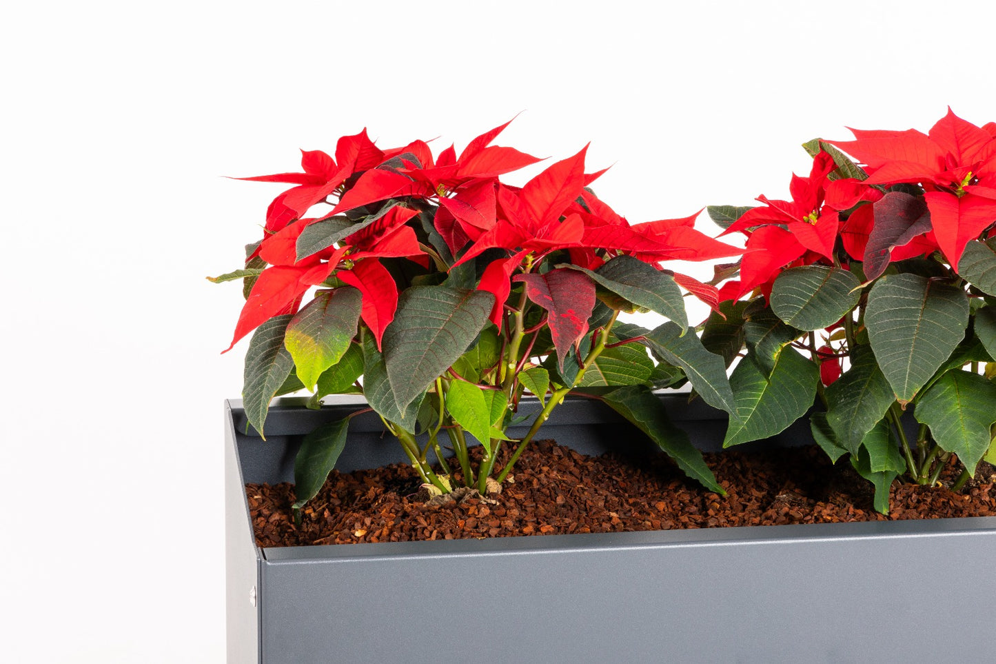 Blumenkastenmodul inkl. Outdoor-Regal